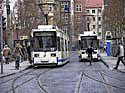 traminjena0039 Kopie